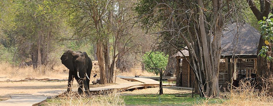 Ruckomechi Camp / Mana Pools National Park