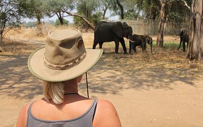 Ruckomechi Camp / Mana Pools National Park