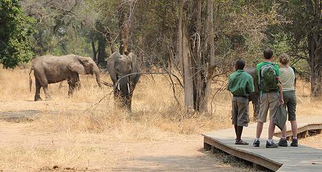 Ruckomechi Camp / Mana Pools National Park