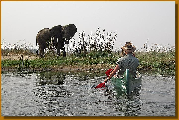 Kanu Safari auf dem Zambesi