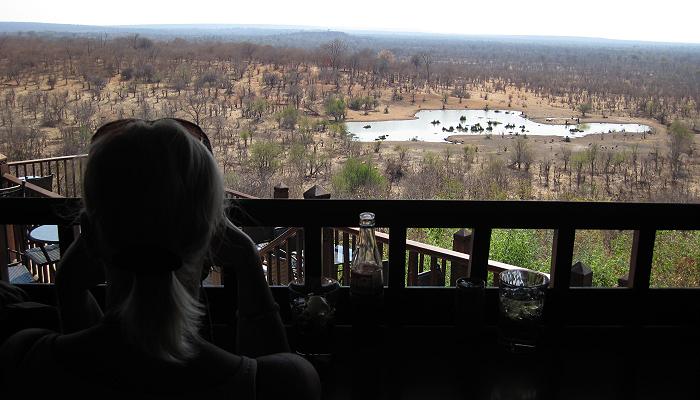 Victoria Falls Safari Lodge
