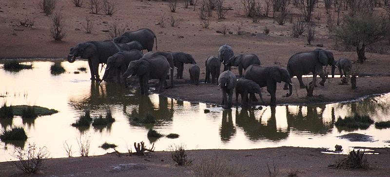 Victoria Falls Safari Lodge