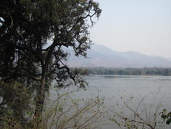 Vundu Camp - Mana Pool National Park