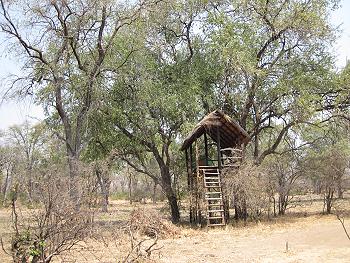 Vundu Camp - Mana Pool National Park