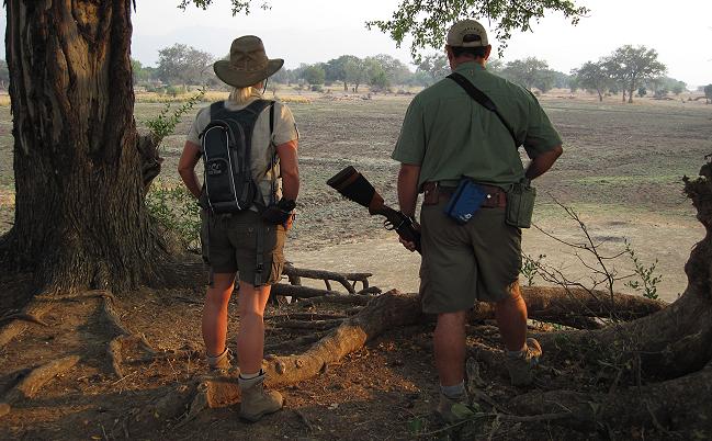 Ruckomechi bush walk / Mana Pools National Park