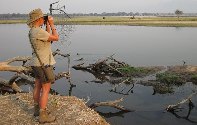 Ruckomechi bush walk / Mana Pools National Park