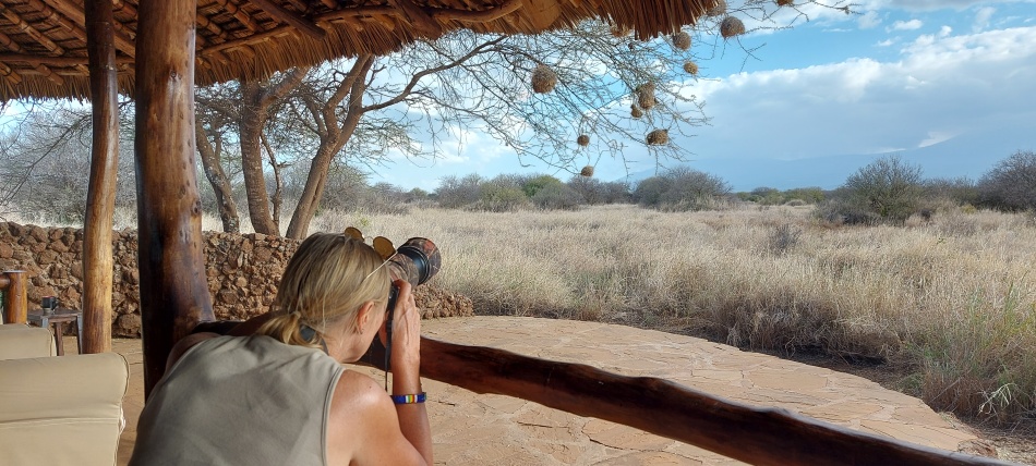 Birding am Amboseli Bush Camp