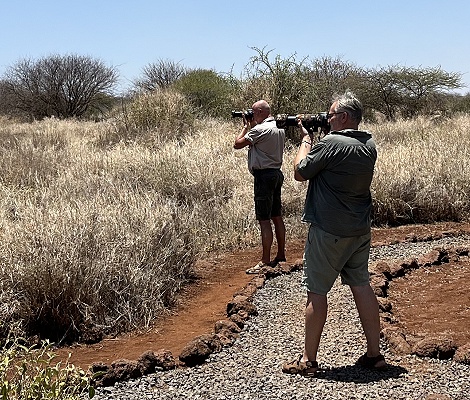 im Amboseli Bush Camp