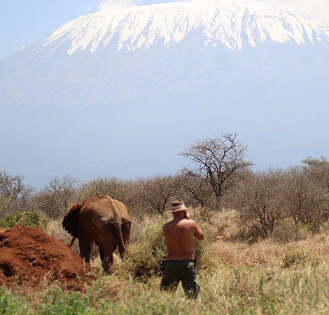 Elefant an der Camp Wasserstelle