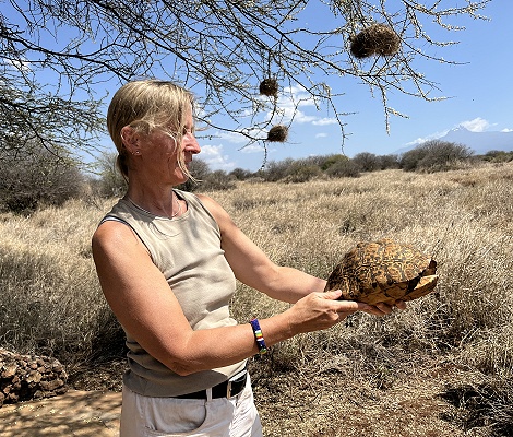 im Amboseli Bush Camp