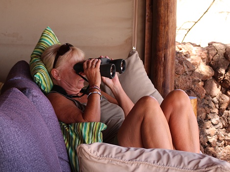 Wildbeobachtung am Amboseli Bush Camp, Lounge