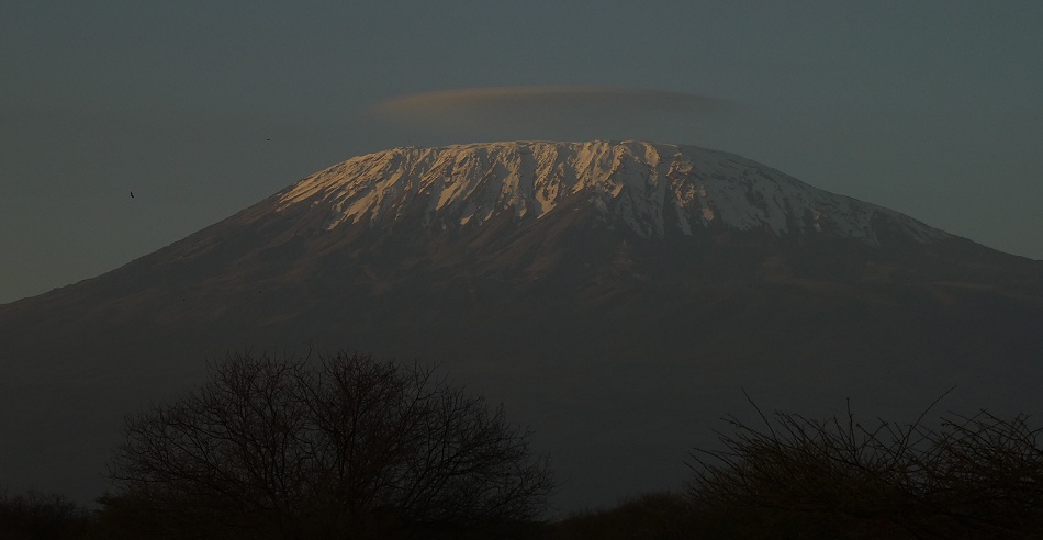 Der Kilimanjaro direkt vor unserer Nase beim Sundowner im Amboseli Bush Camp