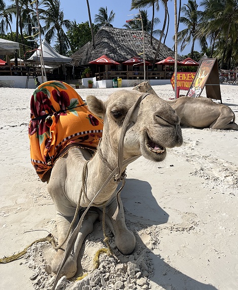 Eis im Yuls und Drinks im Ziwa, kleiner Abstecher an den Bamburui Beach - Kenya Nordküste