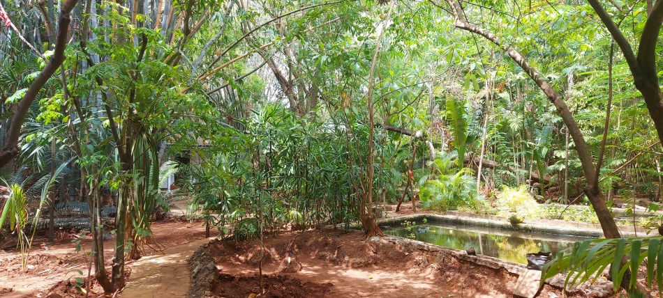 Boko Boko Guesthouse