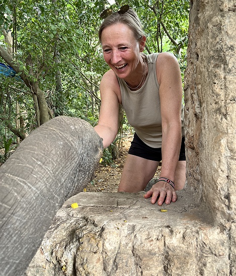 Boko Boko Guesthouse - Aldabra Riesenschildkröten
