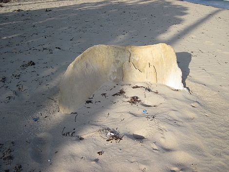 zu Besuch bei guten Freunden am Jumba Beach