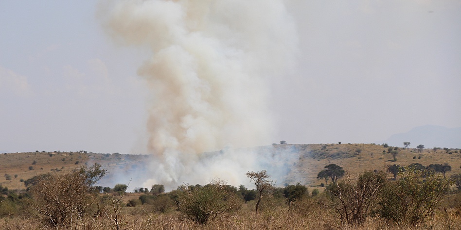 Buschfeuer vor der Salt Lick Lodge