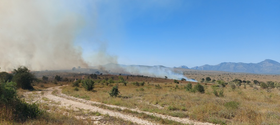 Buschfeuer vor der Salt Lick Lodge