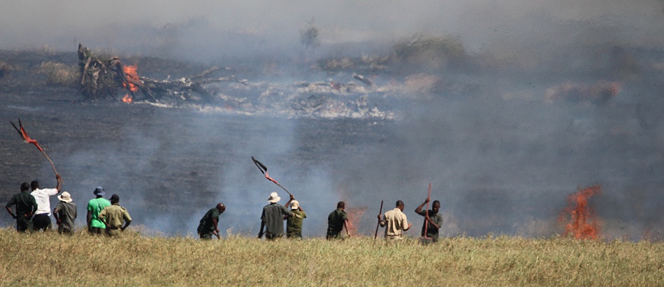 Buschfeuer vor der Salt Lick Lodge