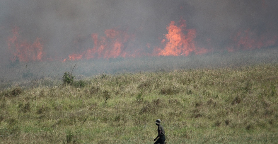 Buschfeuer vor der Salt Lick Lodge