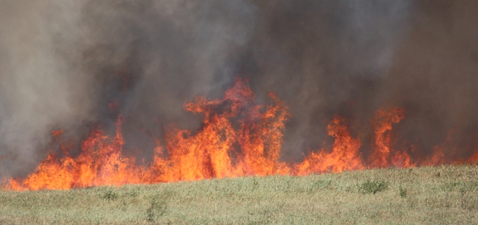 Buschfeuer vor der Salt Lick Lodge