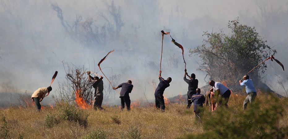 Buschfeuer vor der Salt Lick Lodge