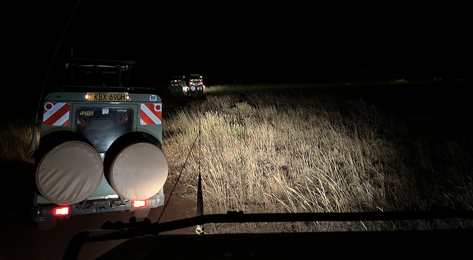 Leopardensuche im Lumo Conservancy
