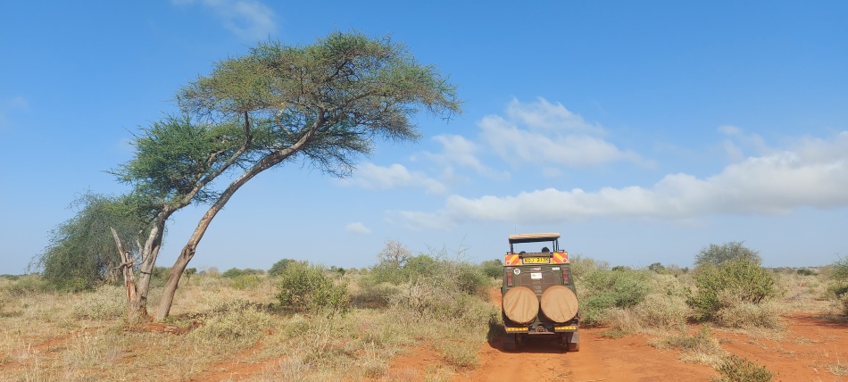 Pirschfahrt im Lumo Conservancy