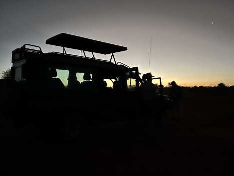 night game drive im Lumo