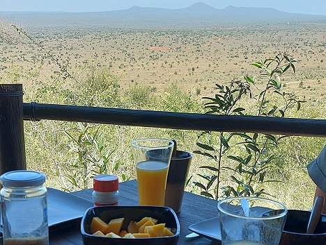 Soroi - Leopards Lair Cottages - Lumo Conservancy - Tsavo West