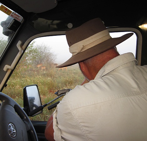Großwild im Nebel, Lumo Conservancy