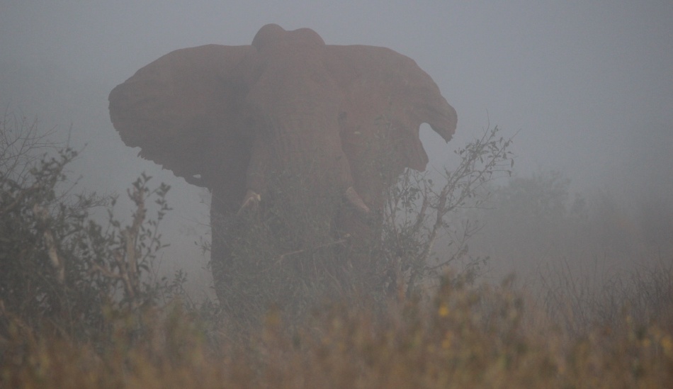 Elefant im Nebel