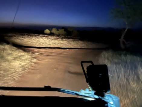Night Game Drive im Lumo Reservat