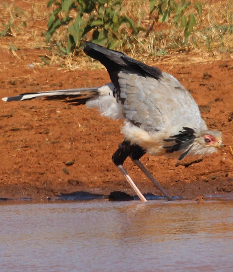 Sekretär