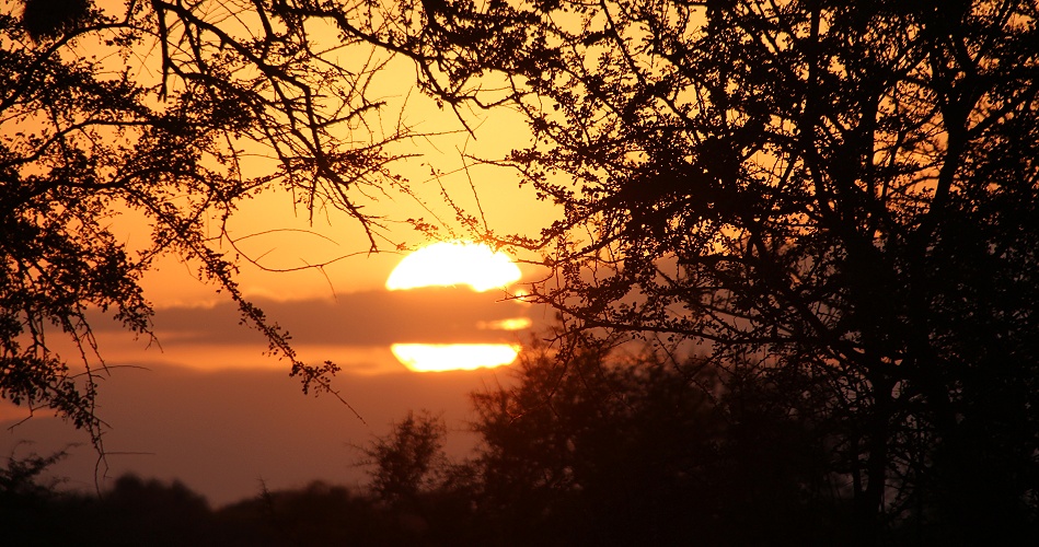Sonnenuntergang im Lumo Conservancy