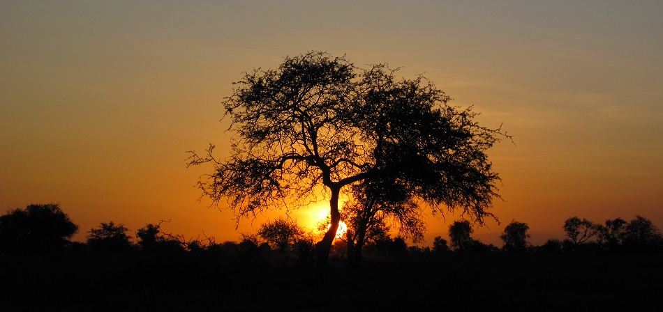 Sonnenuntergang im Lumo Conservancy