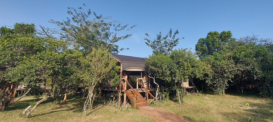 die neuen Zelte im Aruba Mara Camp