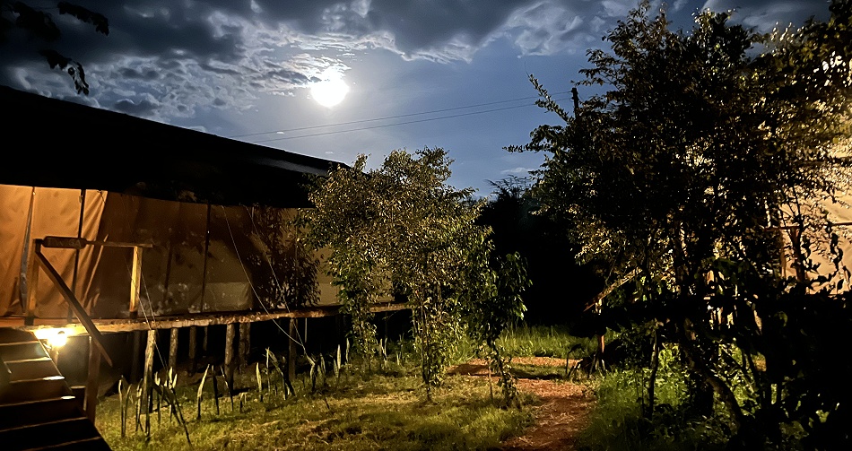 Aruba Mara Camp, Masai Mara