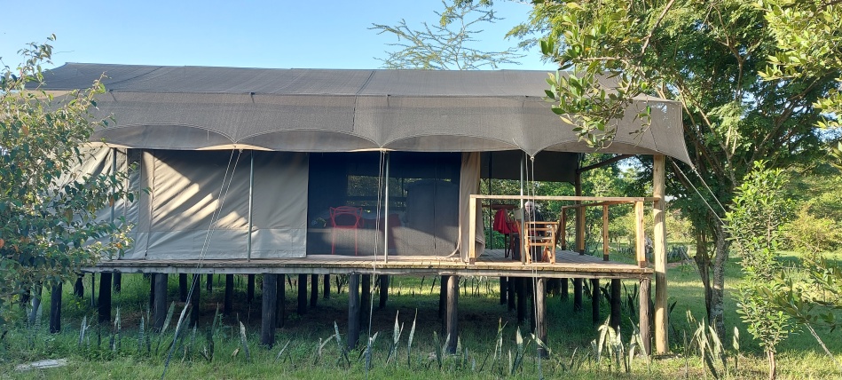 die neuen Zelte im Aruba Mara Camp