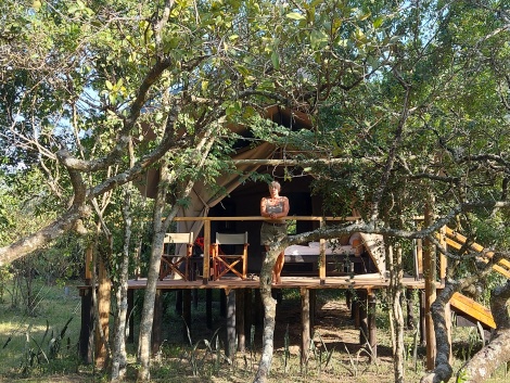 zurück im Auba Mara  Camp - Talek, Masai Mara
