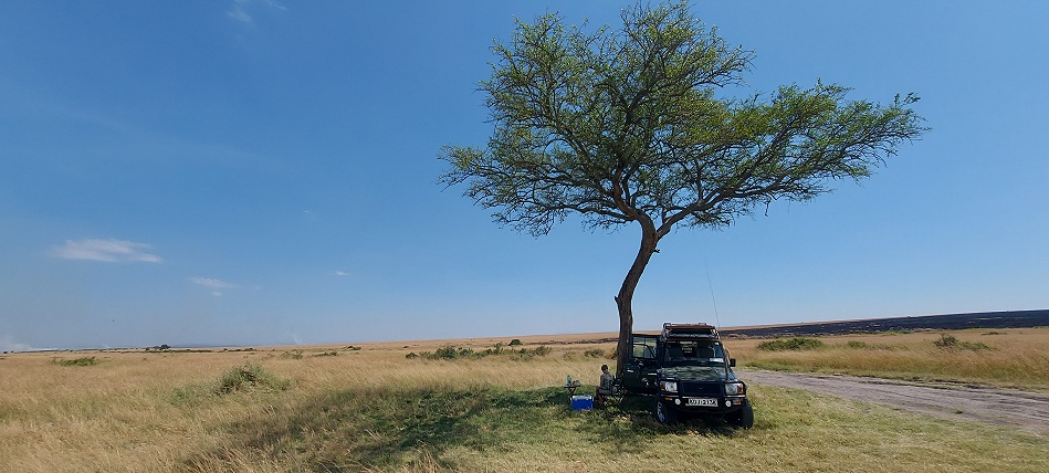 Buschfrühstück in der Masai Mara