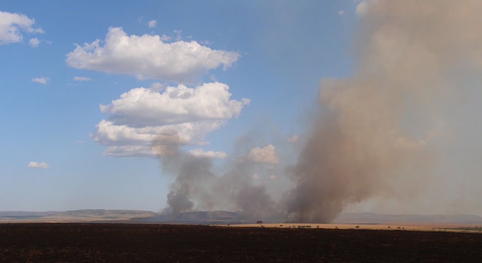 Buschfeuer in der Masai Mara
