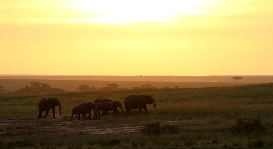 Sonnenuntergang in der Masai Mara