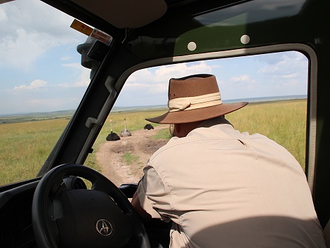 Safari in der Masai Mara