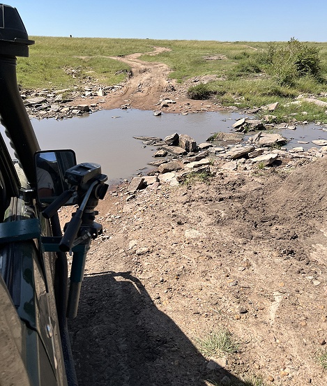Pirschfahrt in der Masai Mara