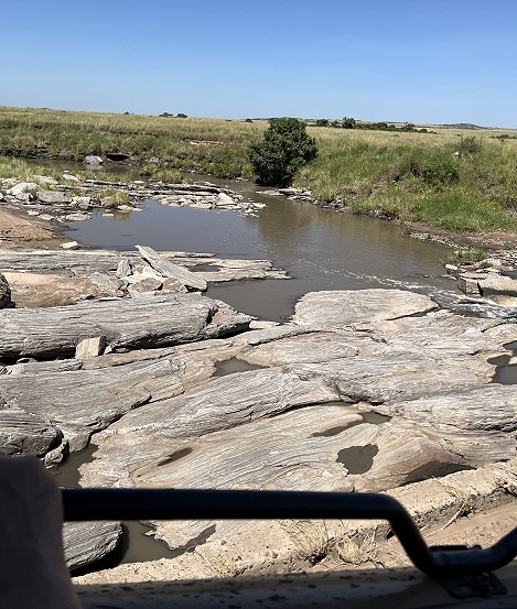 Pirschfahrt in der Masai Mara