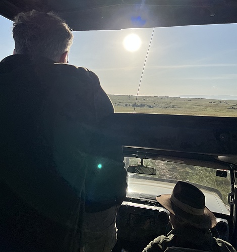 auf Pirschfahrt zwischen Elefanten in der Masai Mara
