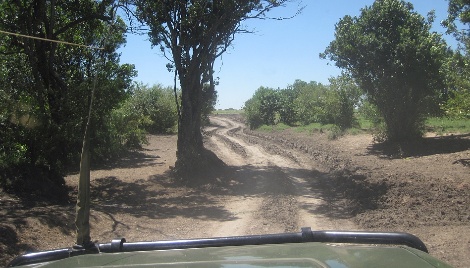 Pirschfahrt durch die Masai Mara
