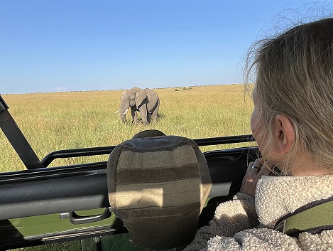 die erste Elefanten Sichtung in der Masai Mara