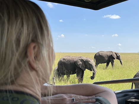 auf Pirschfahrt in der Masai Mara